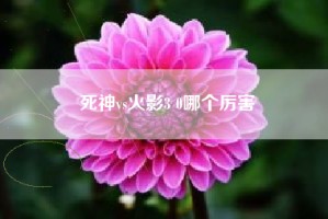 死神vs火影3 0哪个厉害