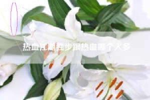 热血江湖独步跟热血哪个人多