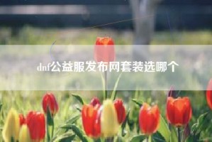 dnf公益服发布网套装选哪个