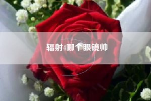 辐射4哪个眼镜帅