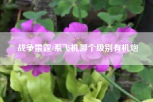 战争雷霆s系飞机哪个级别有机炮