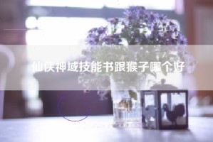 仙侠神域技能书跟猴子哪个好
