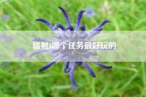 辐射4哪个任务最好玩的