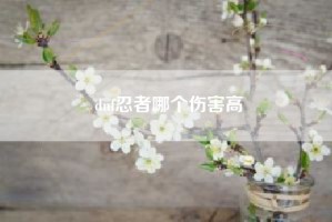 dnf忍者哪个伤害高