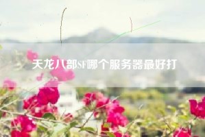 天龙八部SF哪个服务器最好打