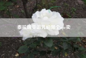 泰拉瑞亚诅咒焰哪个npc卖