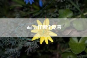 dnf 25仔哪个吃香
