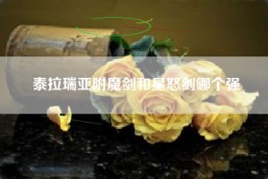 泰拉瑞亚附魔剑和星怒剑哪个强
