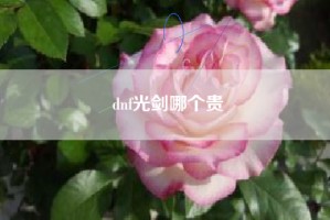 dnf光剑哪个贵