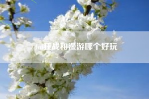 dnf狂战和漫游哪个好玩