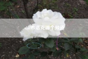 dnf希洛克哪个频道
