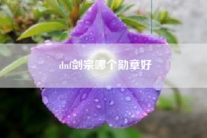 dnf剑宗哪个勋章好
