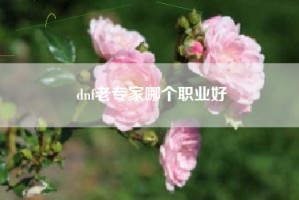 dnf老专家哪个职业好