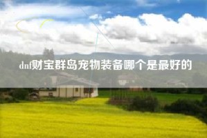 dnf财宝群岛宠物装备哪个是最好的