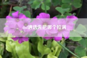 dnf遴选先把哪个拉满