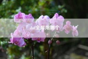 dnf全屏用哪个