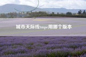 城市天际线tmpe用哪个版本