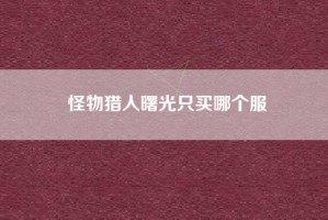 怪物猎人曙光只买哪个服