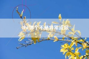 DNF哪个不是异常流派
