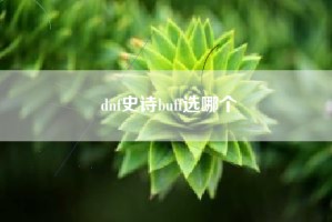 dnf史诗buff选哪个