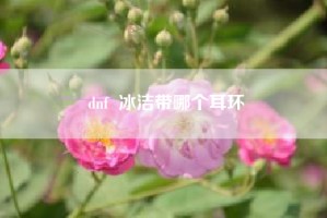 dnf  冰洁带哪个耳环