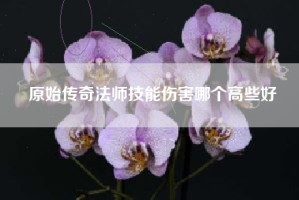 原始传奇法师技能伤害哪个高些好