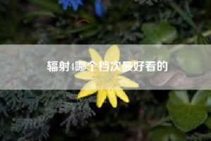 辐射4哪个档次最好看的