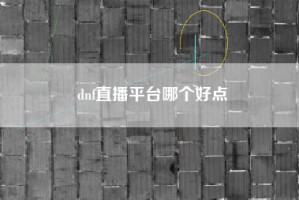 dnf直播平台哪个好点