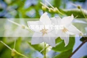 dnf发布网哪个傀儡