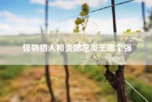 怪物猎人和炎妃龙炎王哪个强