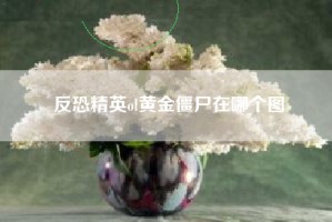 反恐精英ol黄金僵尸在哪个图