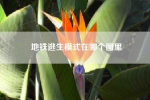 地铁逃生模式在哪个图里