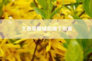王者荣耀辅助哪个厉害