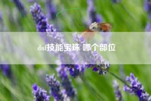 dnf技能宝珠 哪个部位