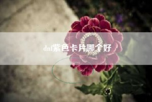 dnf紫色卡片哪个好