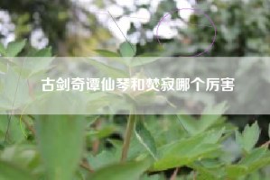 古剑奇谭仙琴和焚寂哪个厉害