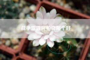 战争雷霆阿帕奇哪个好