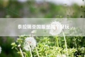 泰拉瑞亚国服是哪个好玩