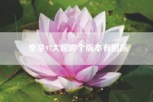 拳皇97大蛇哪个版本有图标