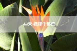 dnf天4选哪个部位