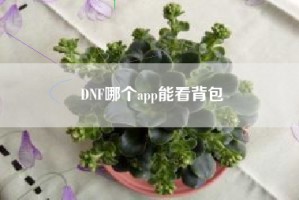 DNF哪个app能看背包