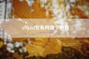 cf与dnf发布网哪个烧钱