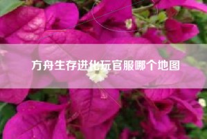 方舟生存进化玩官服哪个地图