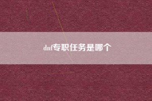 dnf专职任务是哪个