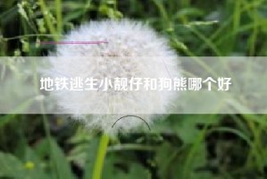 地铁逃生小靓仔和狗熊哪个好