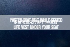 泰拉瑞亚先打哪个boss更好