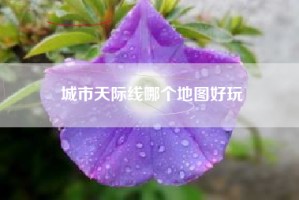 城市天际线哪个地图好玩