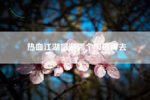 热血江湖端游哪个服进得去