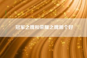 冠军之魄和荣耀之魄哪个好