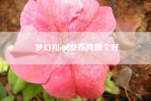 梦幻和dnf发布网哪个好